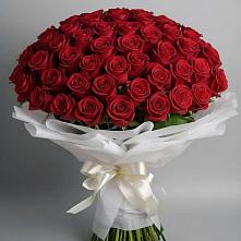 Букет 101 Красная роза Блэк Мэджик в Пролетарске Ростовская область