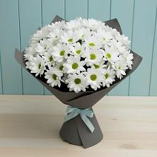 Букет цветов из:  Хризантемы в Пролетарске Ростовская область