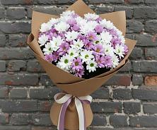 Букет цветов из:  Хризантемы в Пролетарске Ростовская область