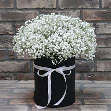 Цветочная композиция из Гипсофила в шляпной коробке в Пролетарске Ростовская область
