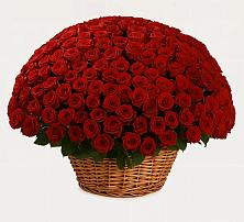 Премиум букет из: Розы в Пролетарске Ростовская область